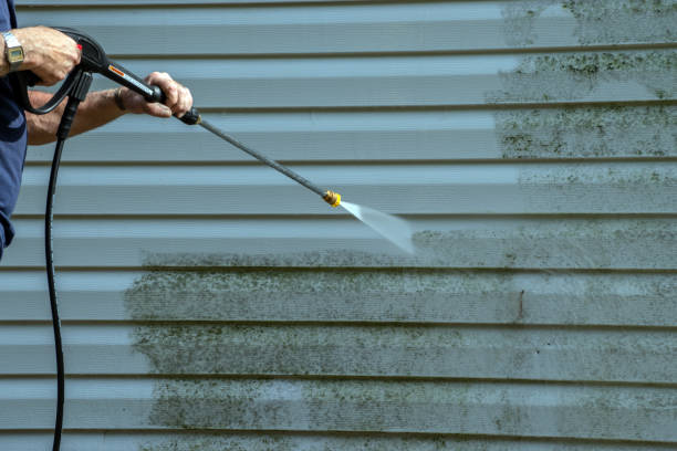 Best Solar Panel Cleaning  in Bushland, TX